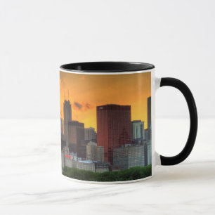 View of Chicago's skyline from Adler Mug