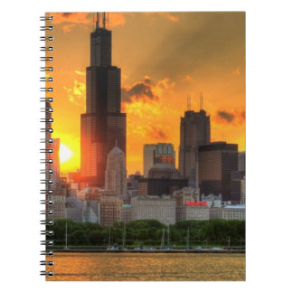 View of Chicago's skyline from  Adler Notebook