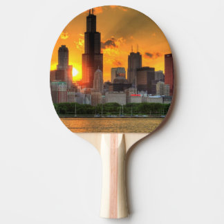 View of Chicago's skyline from Adler Ping Pong Paddle