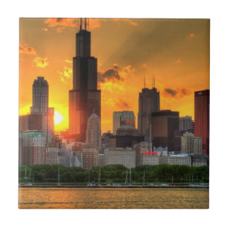 View of Chicago's skyline from Adler Tile