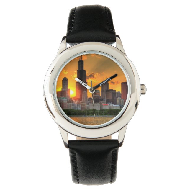 View of Chicago's skyline from  Adler Watch (Front)