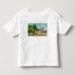 View of Coles Hill and Plymouth Rock Portico Toddler T-Shirt