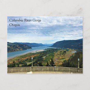 View of Columbia River, Columbia River Gorge, OR P Postcard