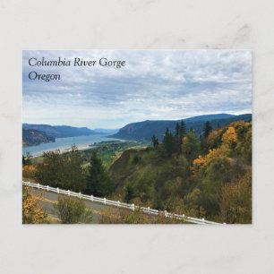 View of Columbia River, Columbia River Gorge, OR P Postcard