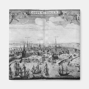 View of Copenhagen Magnet