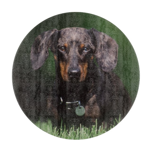 View of Dapple coloured Dachshund Cutting Board (Front)