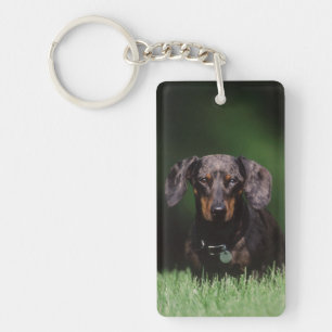 View of Dapple coloured Dachshund Key Ring