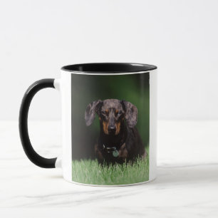 View of Dapple coloured Dachshund Mug