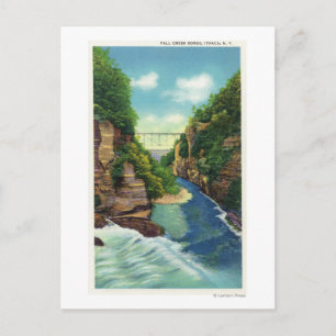 View of Fall Creek Gorge Postcard