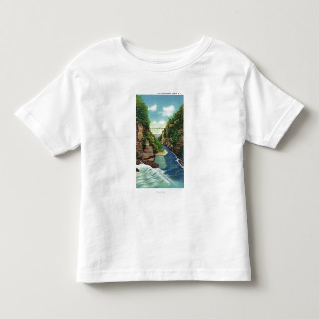 View of Fall Creek Gorge Toddler T-Shirt (Front)