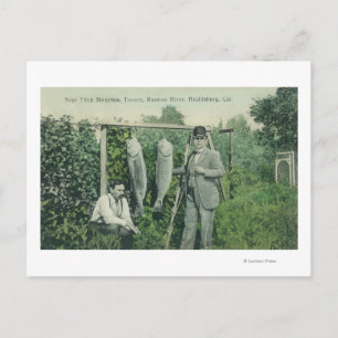 View of Fishermen with Catch near Fitch Mt. Postcard