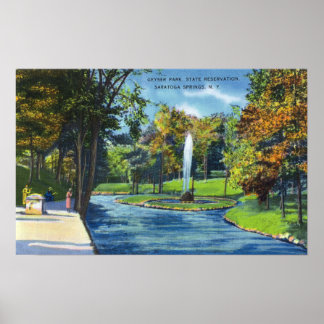View of Geyser Park Poster