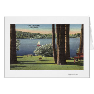 View of Grassy Shore & Lake