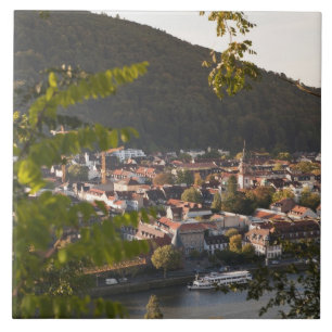 View of Heidelberg's Old Town Tile