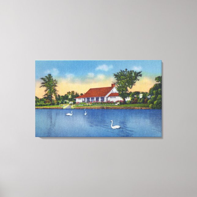 View of Hoopes Park Swans on the Lake Canvas Print (Front)