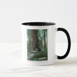 View of Horse Carriage Under Wawona Tree Mug