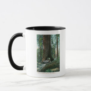 View of Horse Carriage Under Wawona Tree Mug