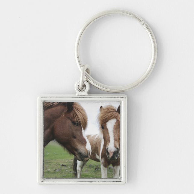 View of Horse, close-up Key Ring (Front)