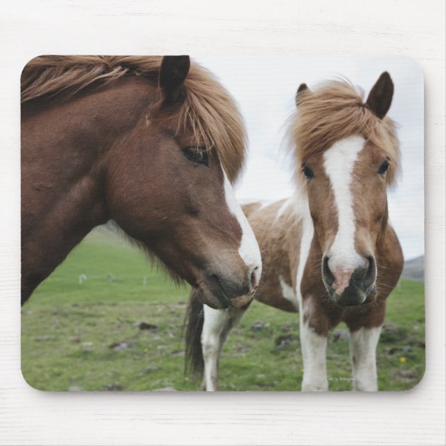 View of Horse, close-up Mouse Mat (Front)