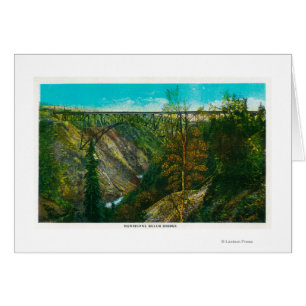 View of Hurricane Gulch Bridge, Alaska