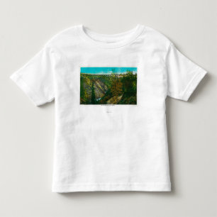 View of Hurricane Gulch Bridge, Alaska Toddler T-Shirt