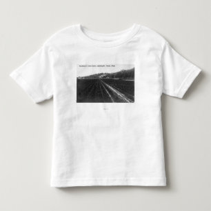 View of Hutchinson Celery Garden Toddler T-Shirt