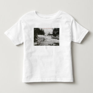 View of Kennebago Falls Toddler T-Shirt