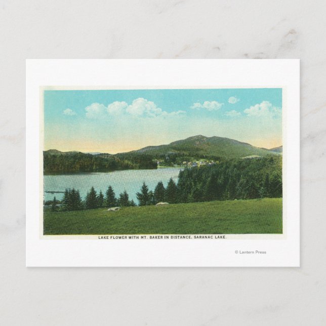 View of Lake Flower with Mt. Baker in Distance Postcard (Front)