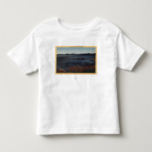 View of Lake from the Northern Shores Toddler T-Shirt
