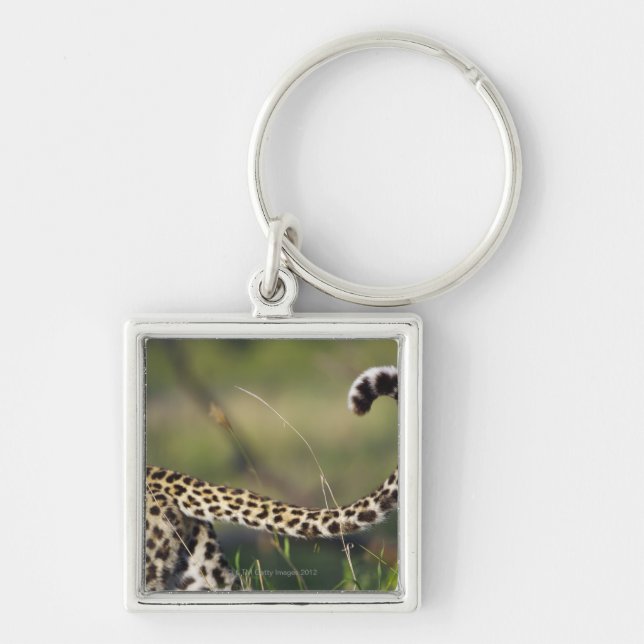 View of Leopards tail (Panthera pardus), Key Ring (Front)