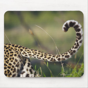 View of Leopards tail (Panthera pardus), Mouse Mat
