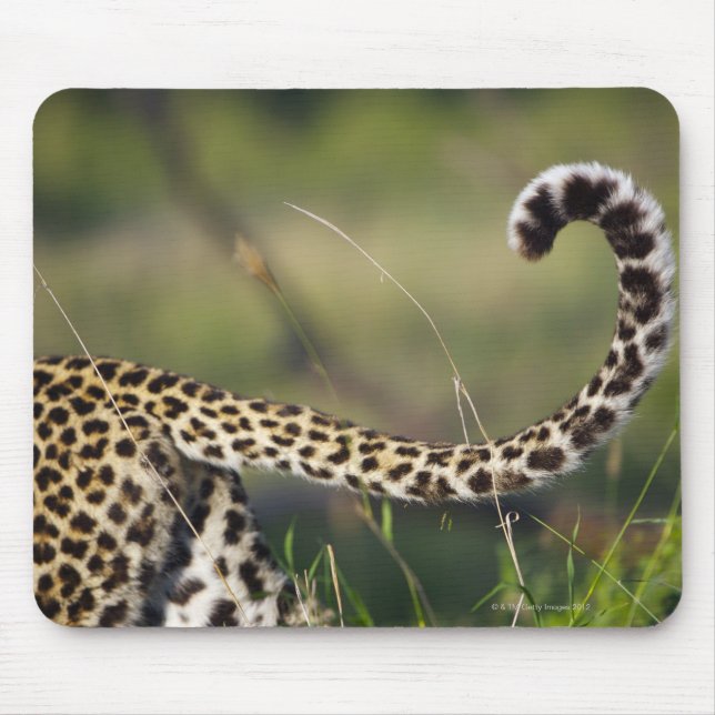 View of Leopards tail (Panthera pardus), Mouse Mat (Front)