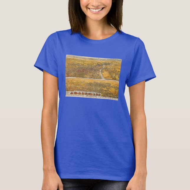 View Of Los Angeles, 1894 T-Shirt (Front)