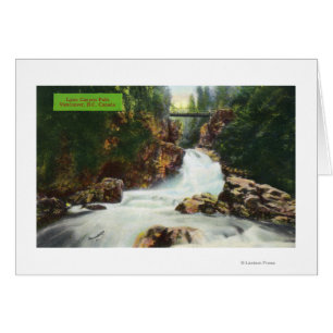 View of Lynn Canyon Falls
