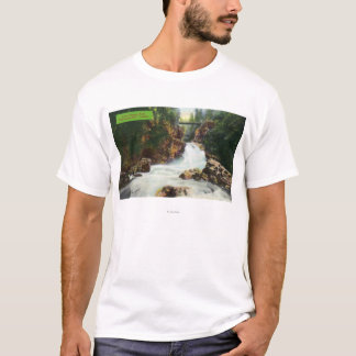 View of Lynn Canyon Falls T-Shirt