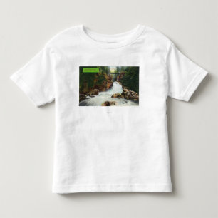 View of Lynn Canyon Falls Toddler T-Shirt