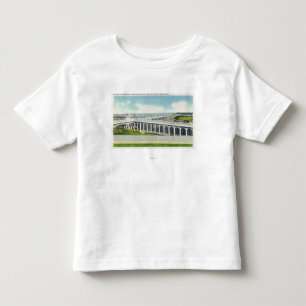 View of Million Dollar Toddler T-Shirt