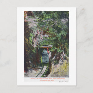 View of Miner Exiting Tunnel Entrance to Gold Postcard