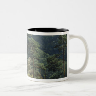 View of Mount Brocken, 1829 Two-Tone Coffee Mug