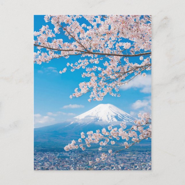 View of Mount Fuji with Cherry Blossoms Postcard (Front)
