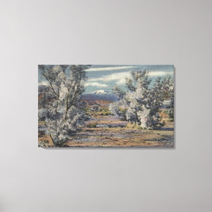 View of Mt. San Gorgonio & Palm Springs Canvas Print