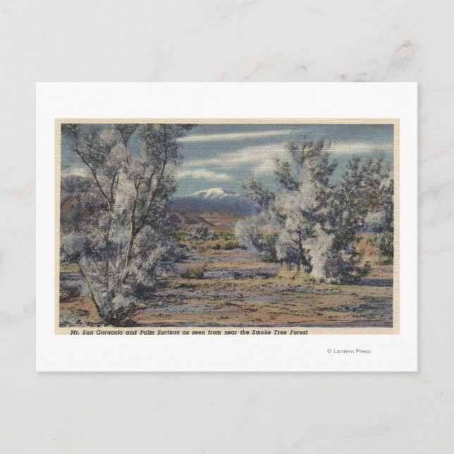 View of Mt. San Gorgonio & Palm Springs Postcard (Front)