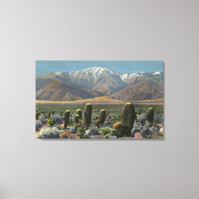 View of Mt. San Jacinto Near Palm Springs Canvas Print (Front)