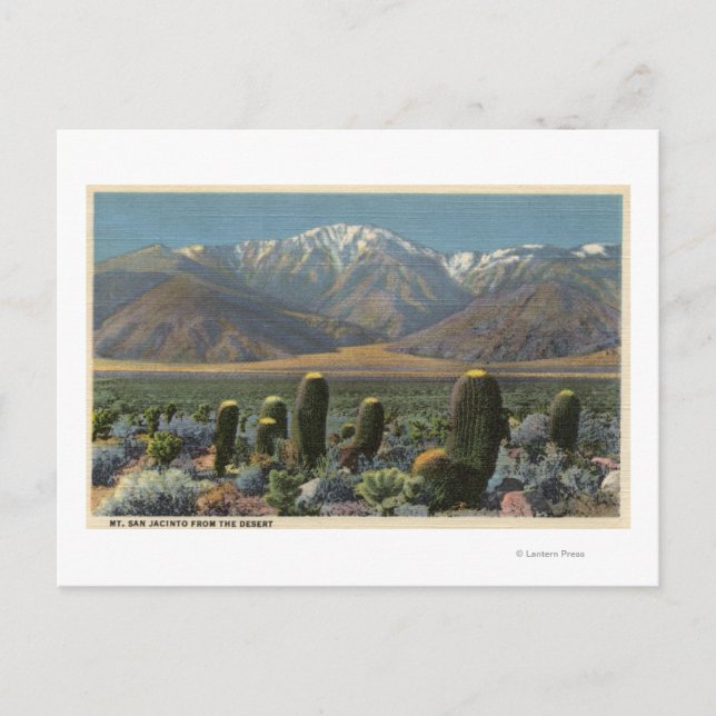 View of Mt. San Jacinto Near Palm Springs Postcard (Front)