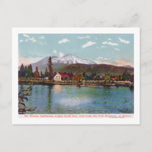 View of Mt. Shasta from the Fish Hatchery Postcard