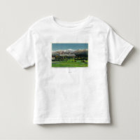 View of Mt Washington Hotel, Presidential Range