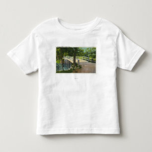 View of Old North Bridge Toddler T-Shirt