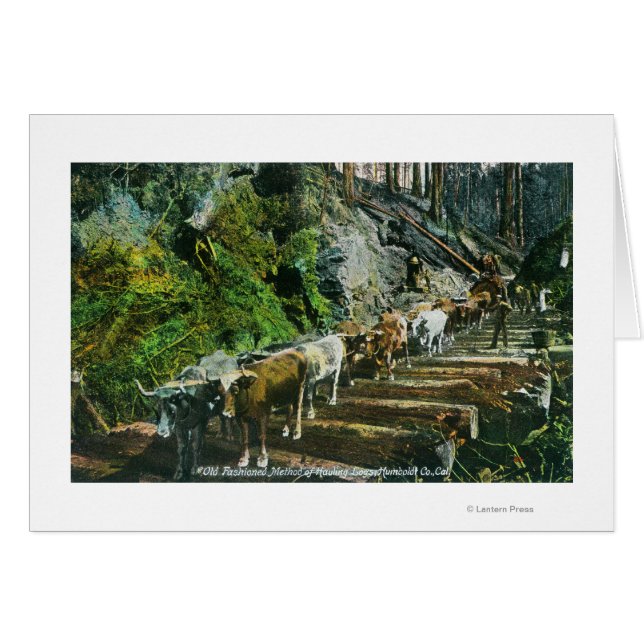 View of Ox-Teams Hauling Logs (Front Horizontal)