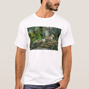 View of Ox-Teams Hauling Logs T-Shirt