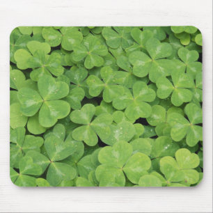 View of Oxalis Oregana wood Sorrel Foliage Mouse Mat